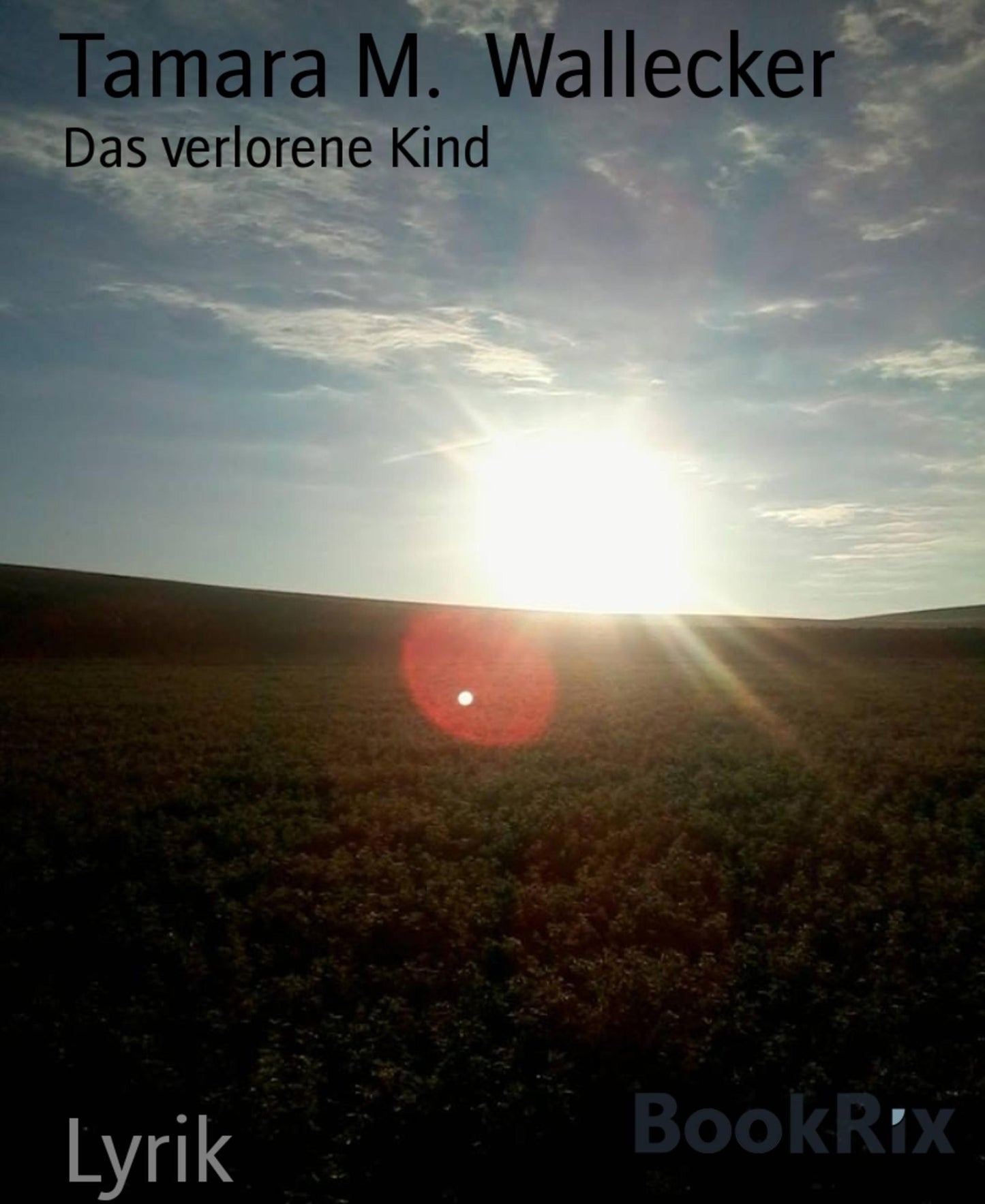 Lyrik: Das verlorene Kind
