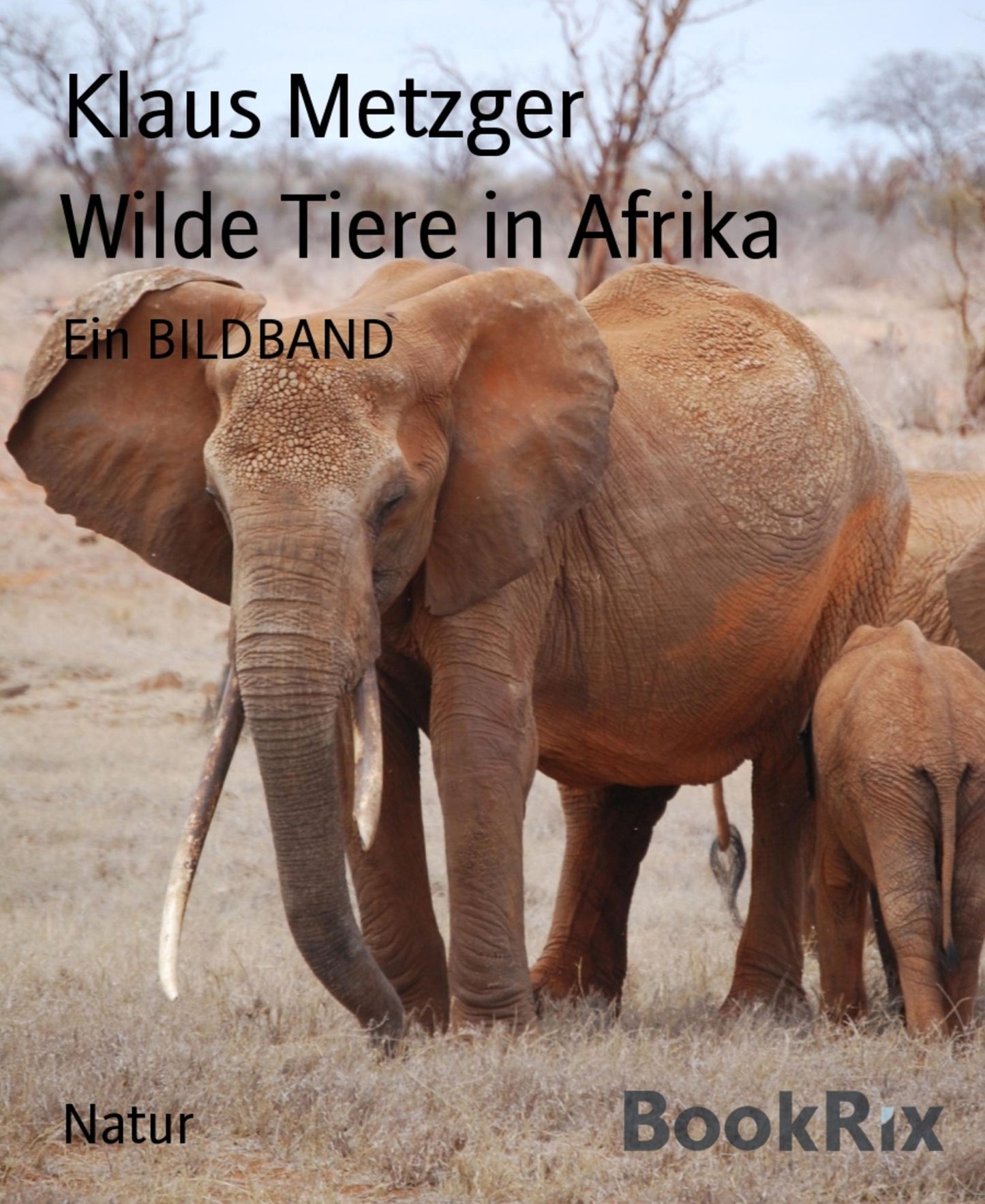 Wilde Tiere in Afrika: Ein BILDBAND
