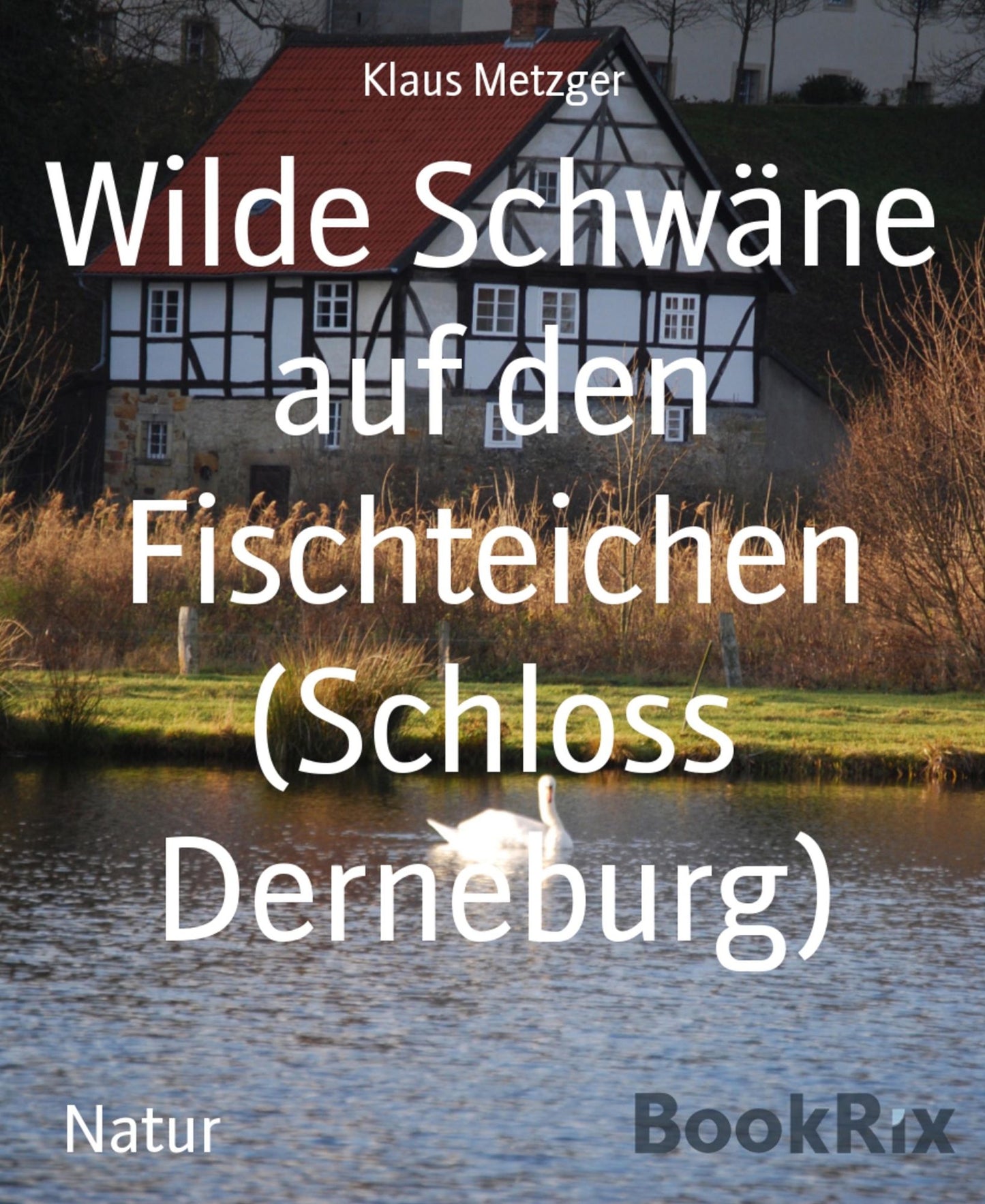 Wilde Schwäne auf den Fischteichen (Schloss Derneburg): Ein BILDBAND