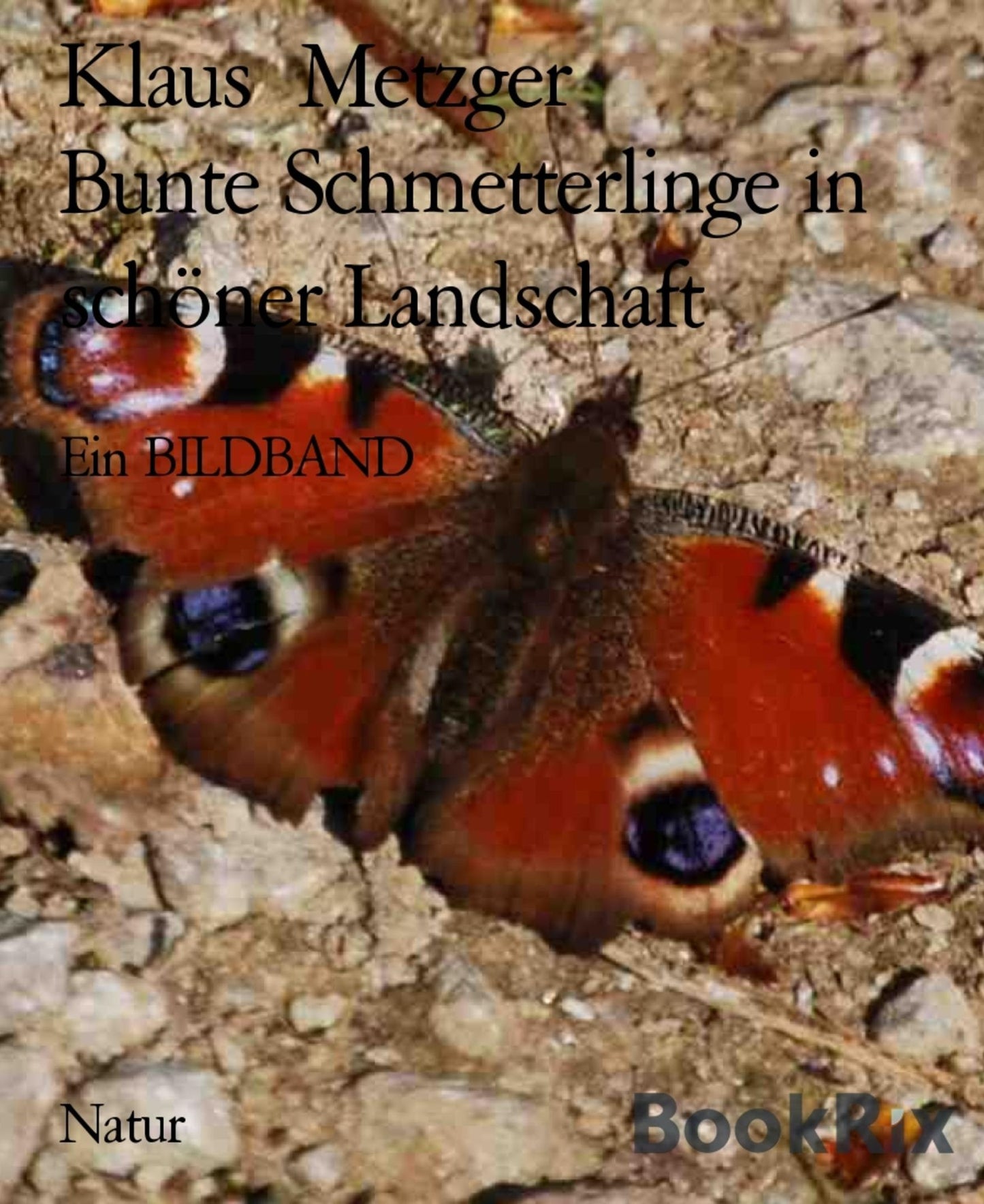 Bunte Schmetterlinge in schöner Landschaft: Ein BILDBAND