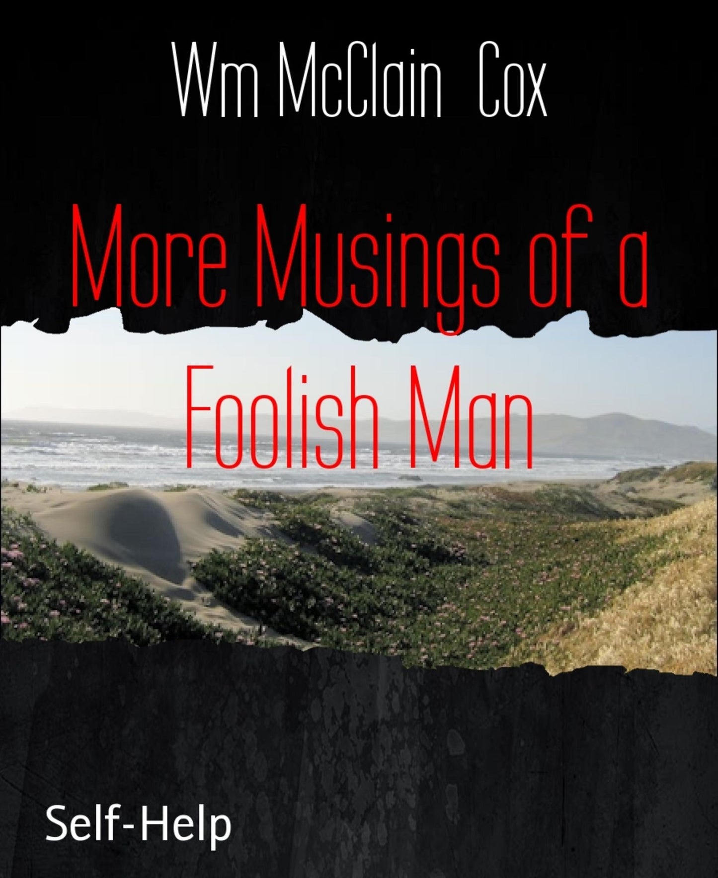 More Musings of a Foolish Man