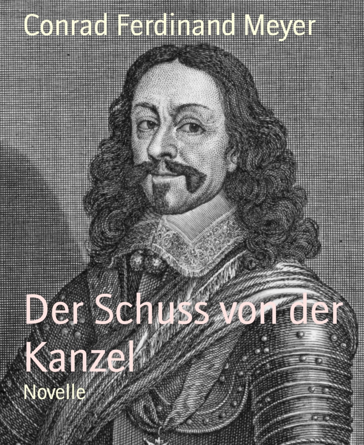 Der Schuss von der Kanzel: Novelle