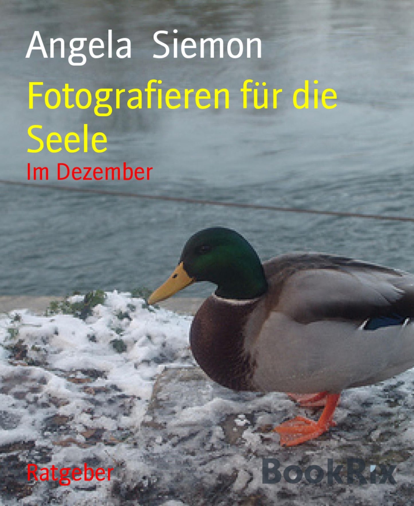 Fotografieren für die Seele: Im Dezember