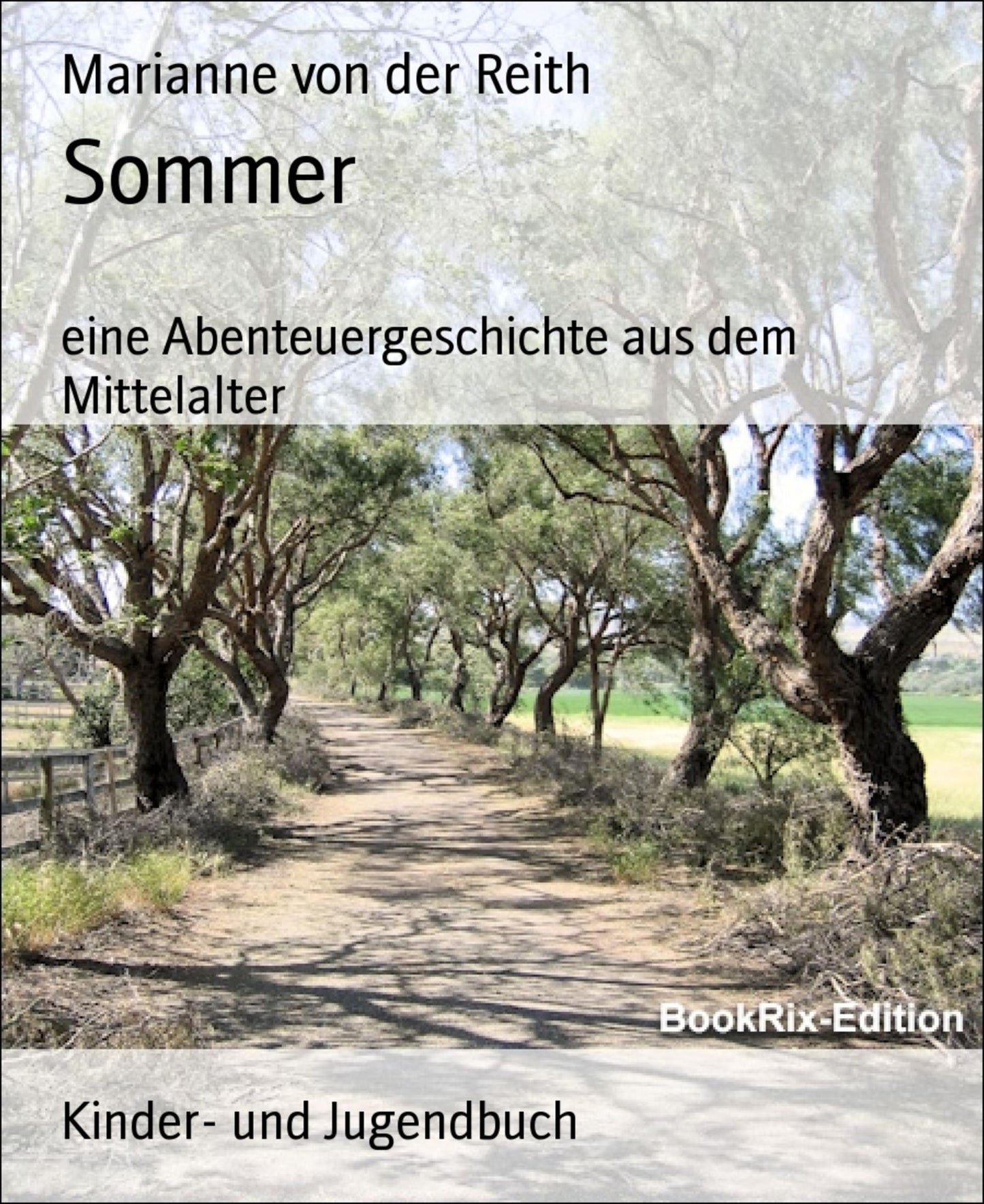 Sommer: eine Abenteuergeschichte aus dem Mittelalter
