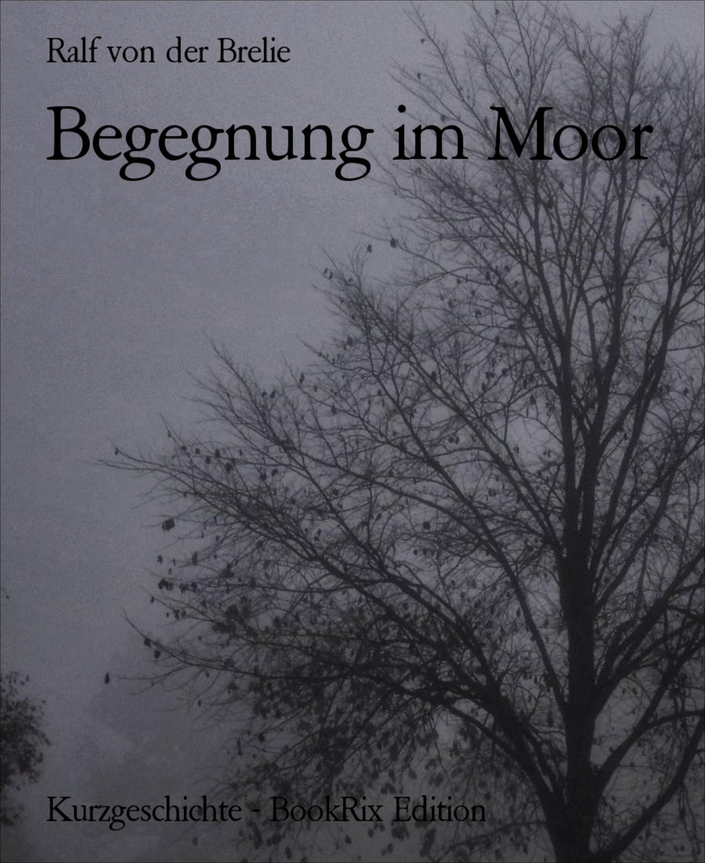 Begegnung im Moor