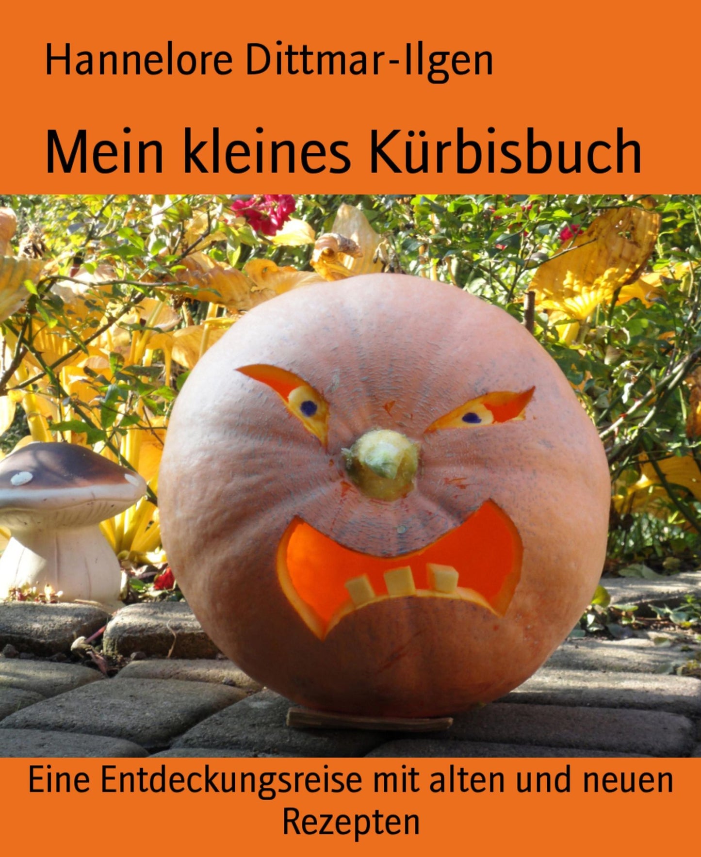Mein kleines Kürbisbuch: Eine Entdeckungsreise mit alten und neuen Rezepten