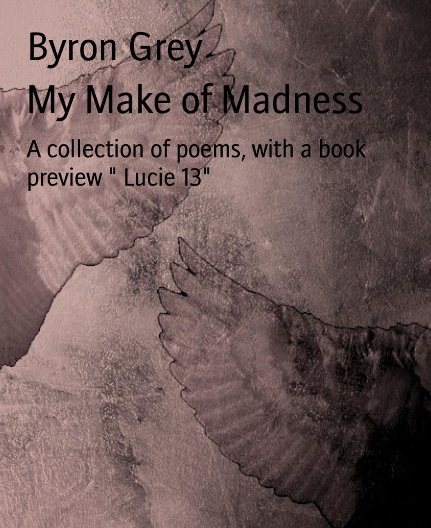 My Make of Madness: A collection of poems, with a book preview " Lucie 13