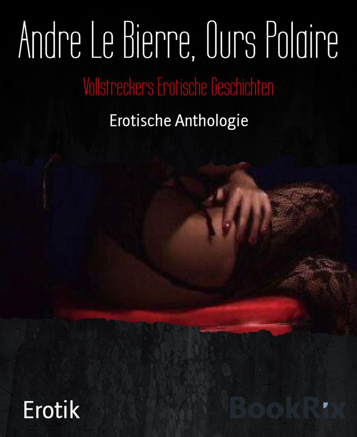 Vollstreckers Erotische Geschichten: Erotische Anthologie
