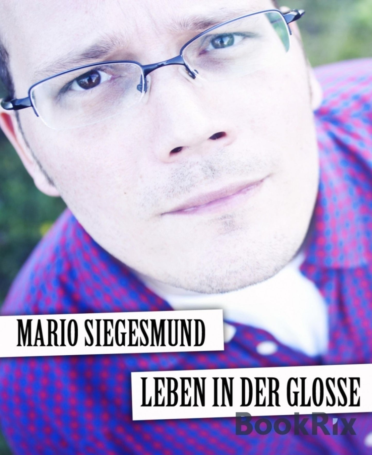 Leben in der Glosse: 36 Alltagsatiren