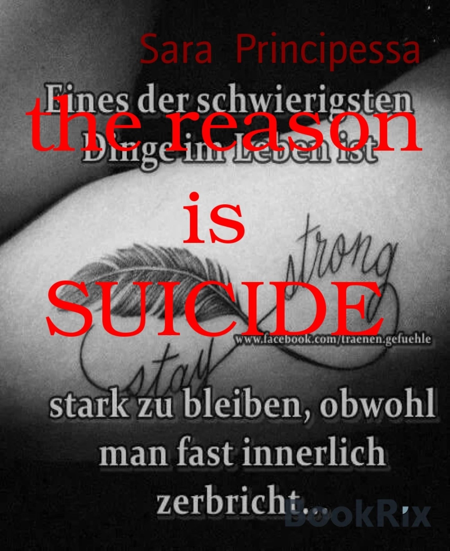 the reason is SUICIDE: Gedichte