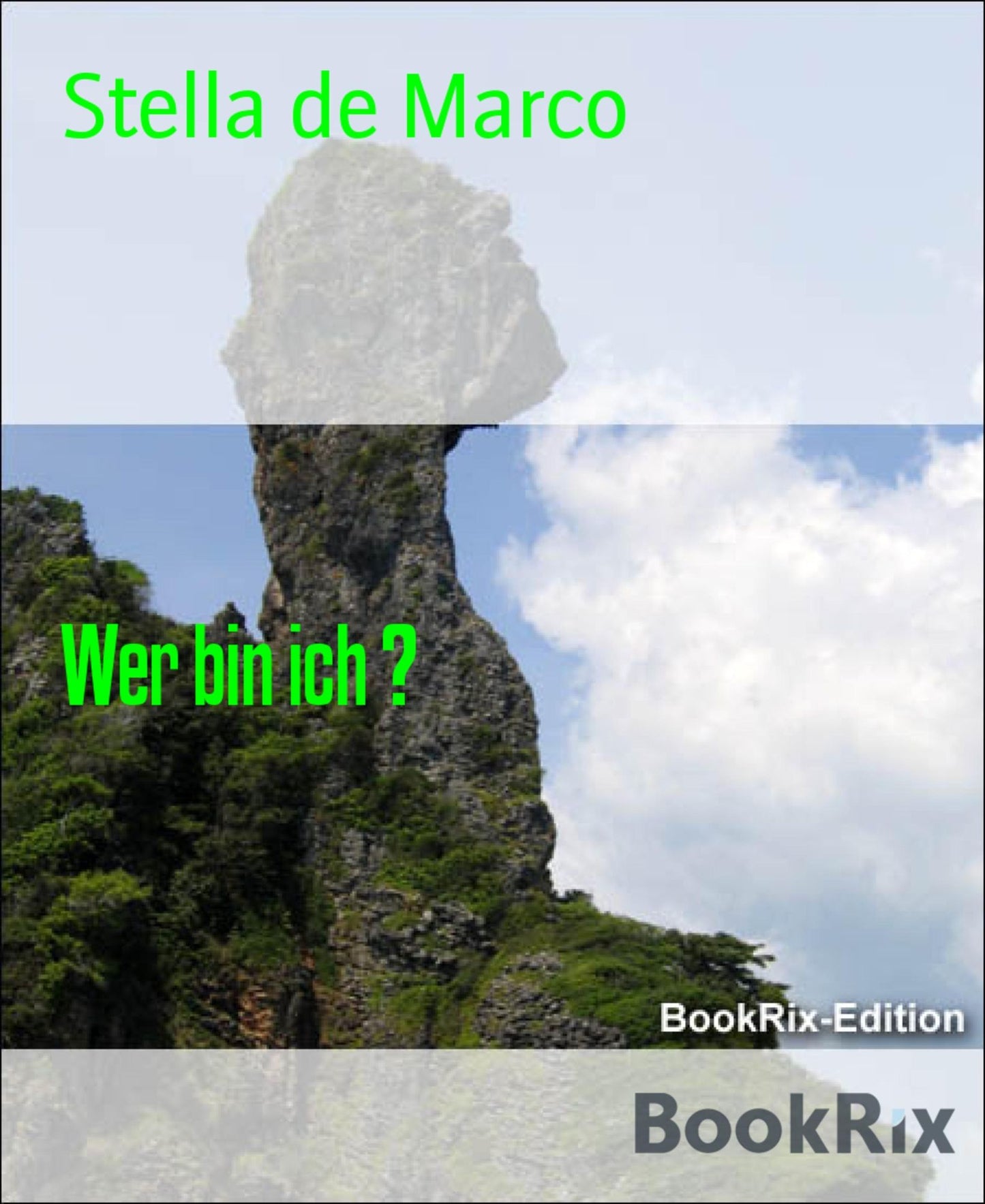 Wer bin ich ?: Die Fortsetzung