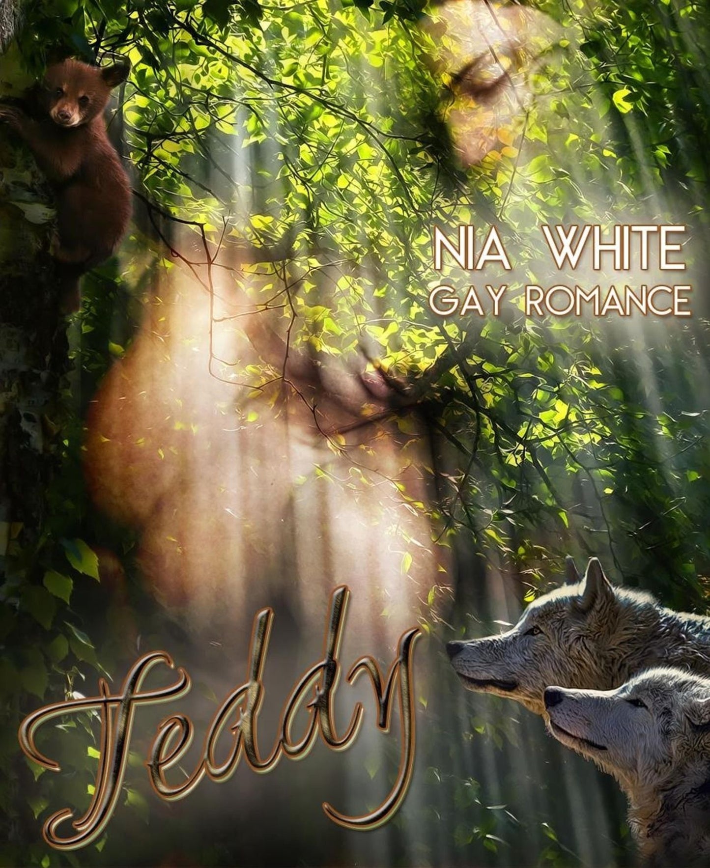 Teddy: Gay Fantasy Romance