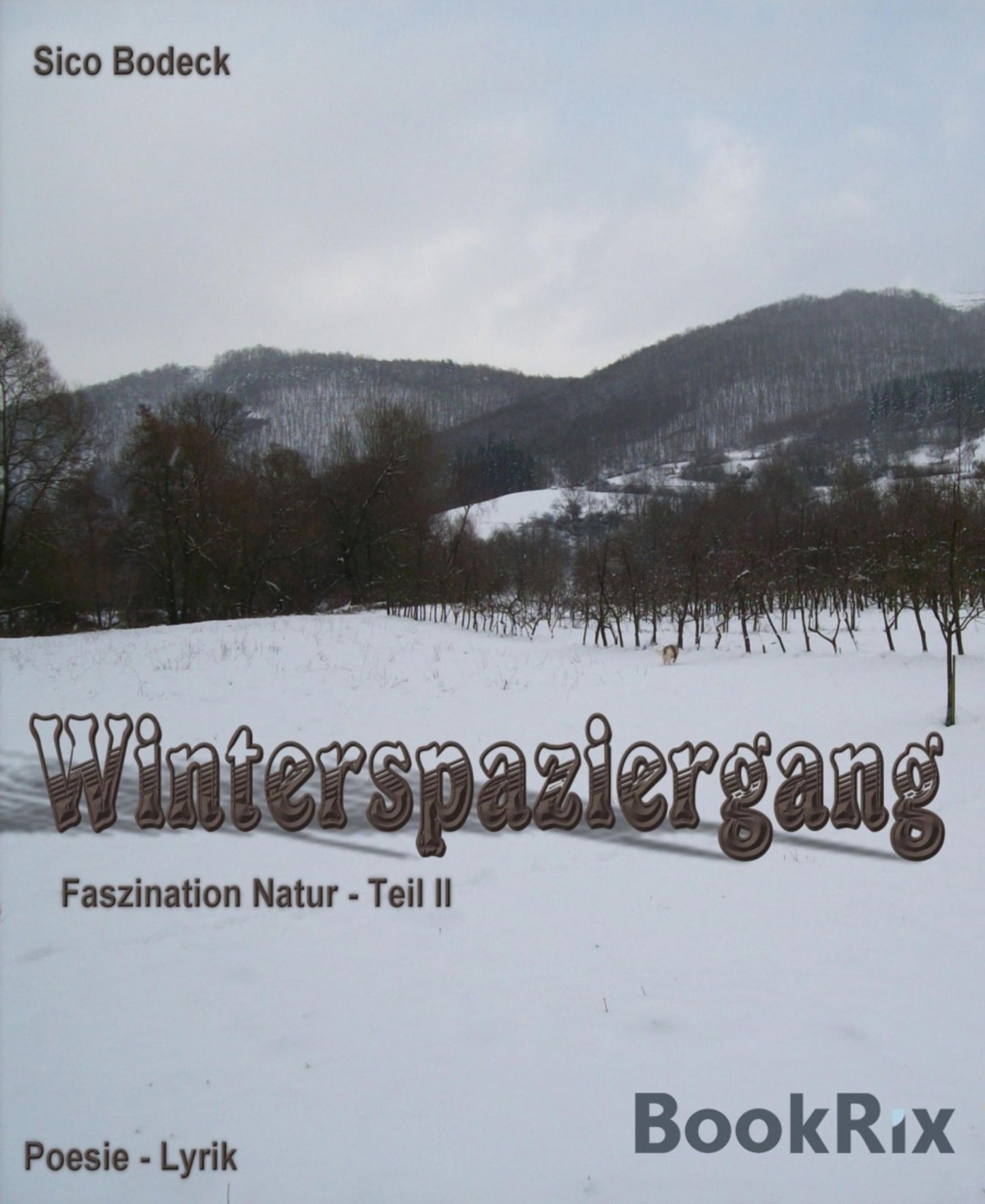 Winterspaziergang: Jahreszeiten" - Teil II