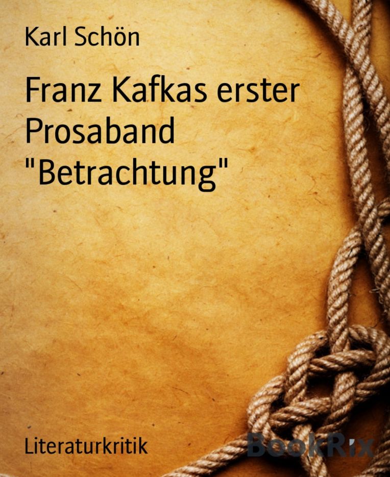 Franz Kafkas erster Prosaband "Betrachtung: Interpretation