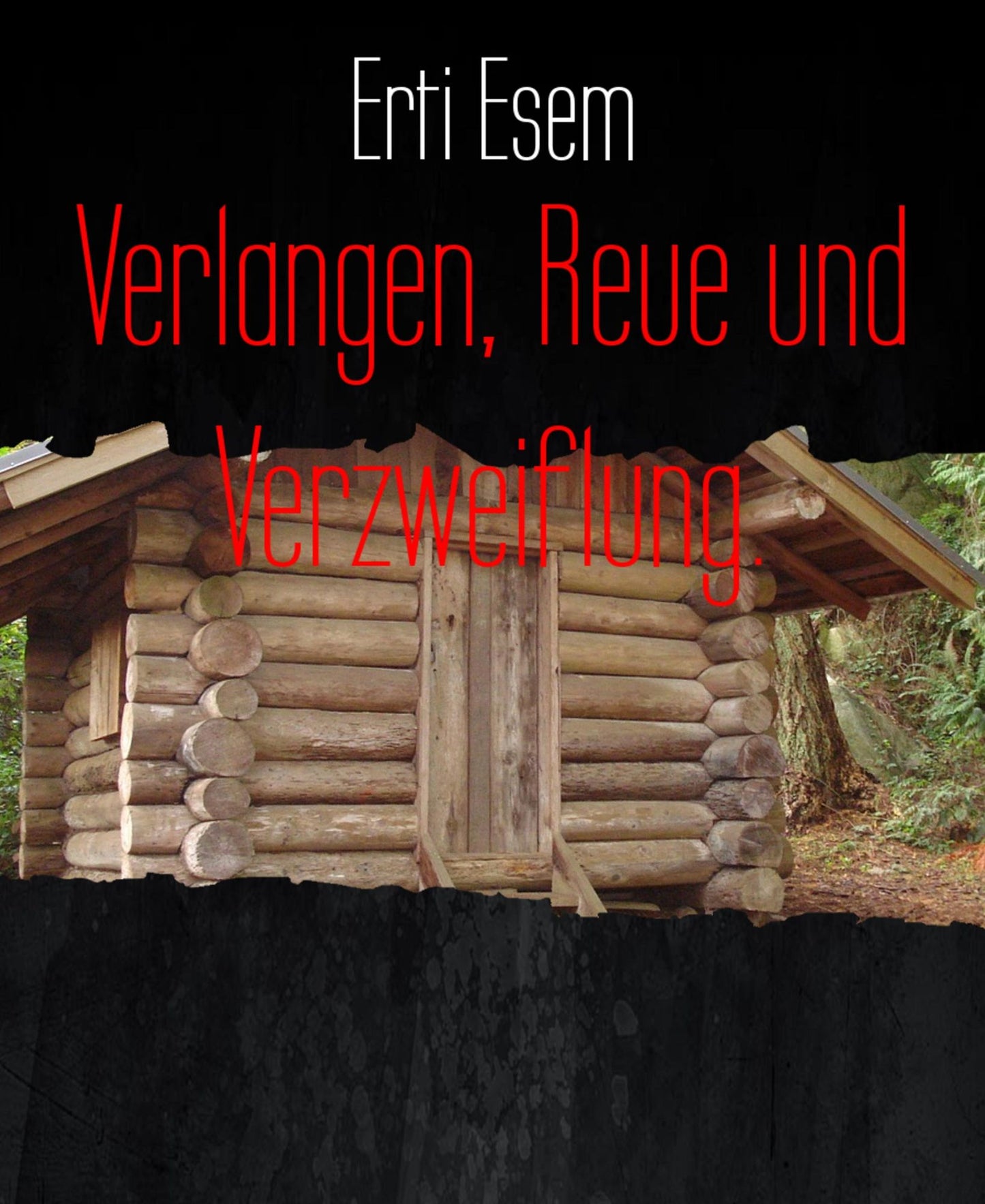 Verlangen, Reue und Verzweiflung.: Abgründe eines Menschen.