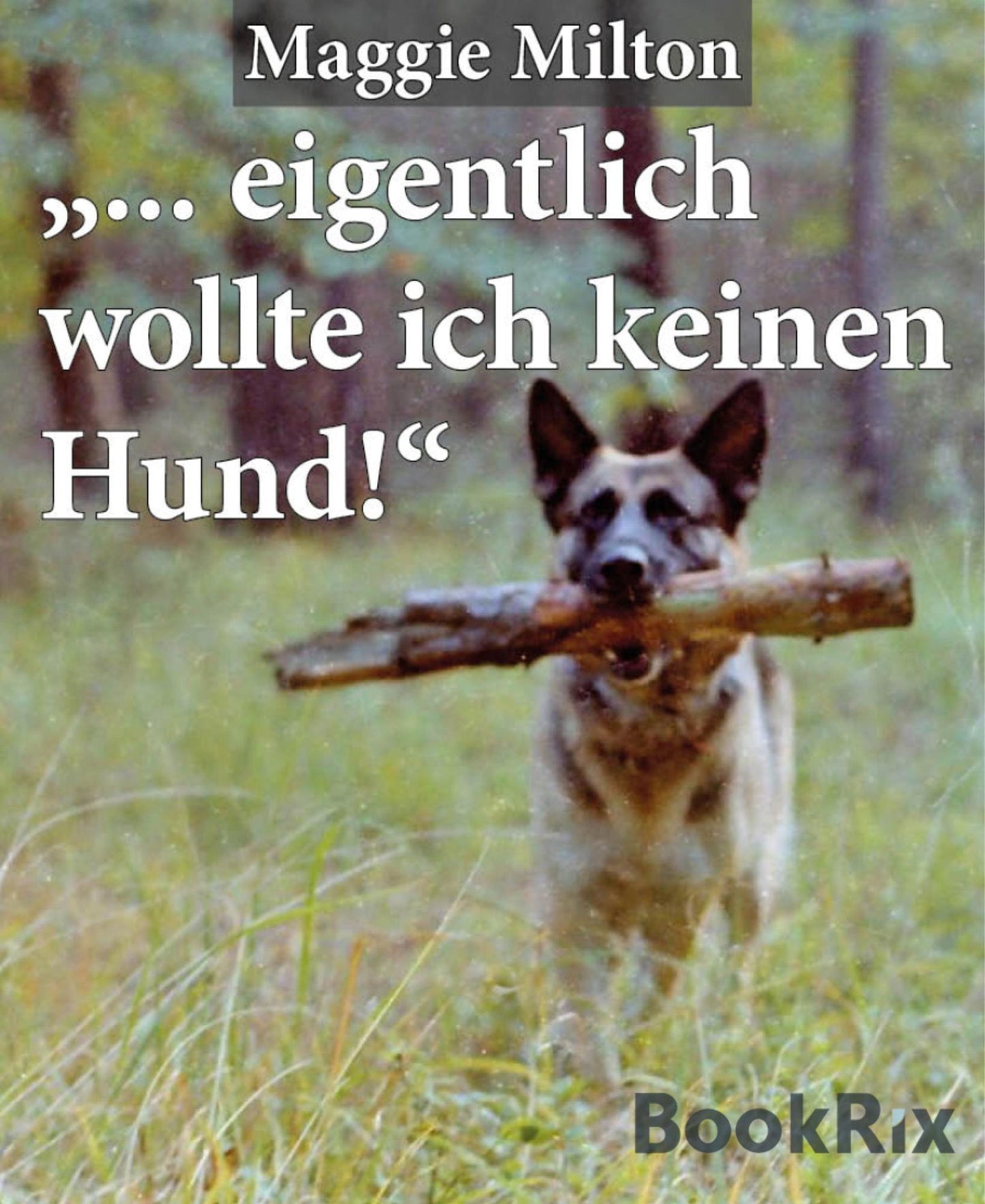 ... eigentlich wollte ich keinen Hund!",: sagte Heinrich Wetter...