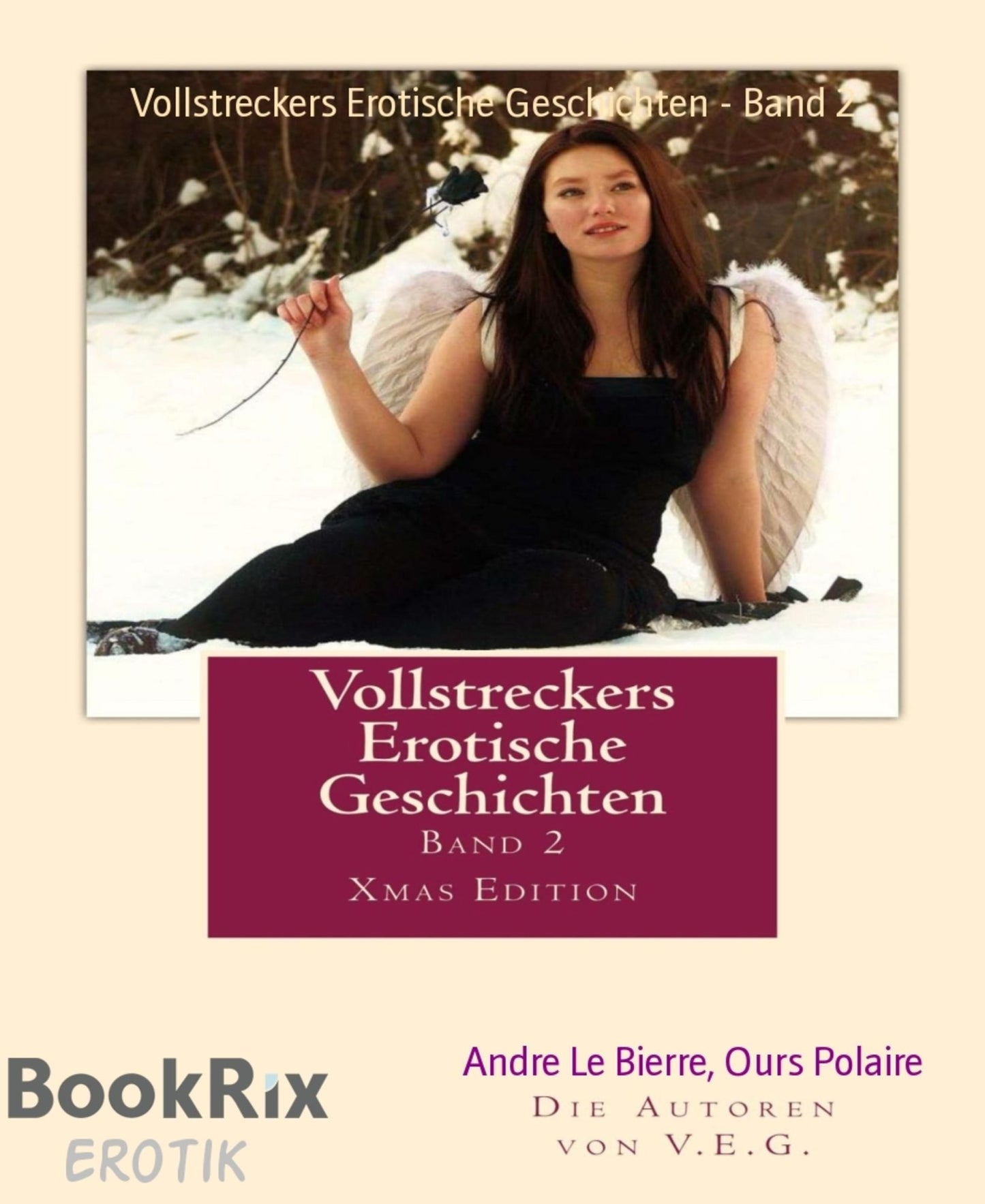 Vollstreckers Erotische Geschichten - Band 2: Xmas Edition
