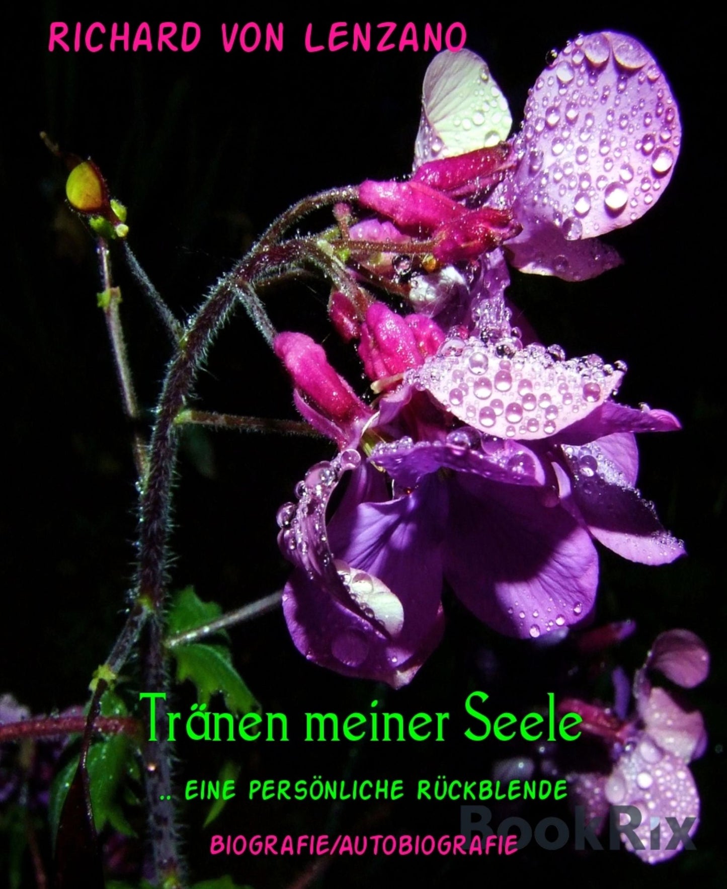 Tränen meiner Seele: .. eine persönliche Rückblende