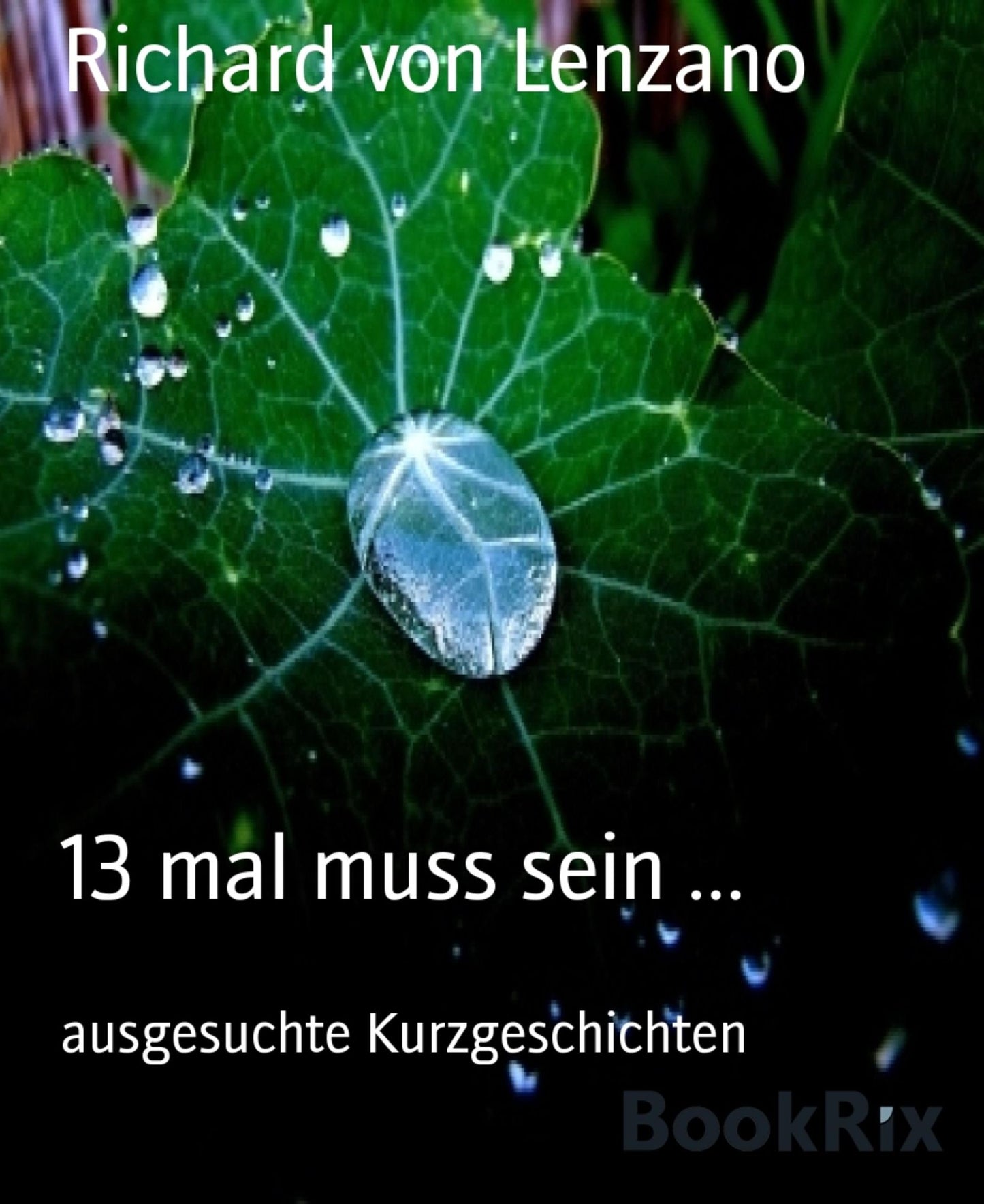 13 mal muss sein ...: ausgesuchte Kurzgeschichten