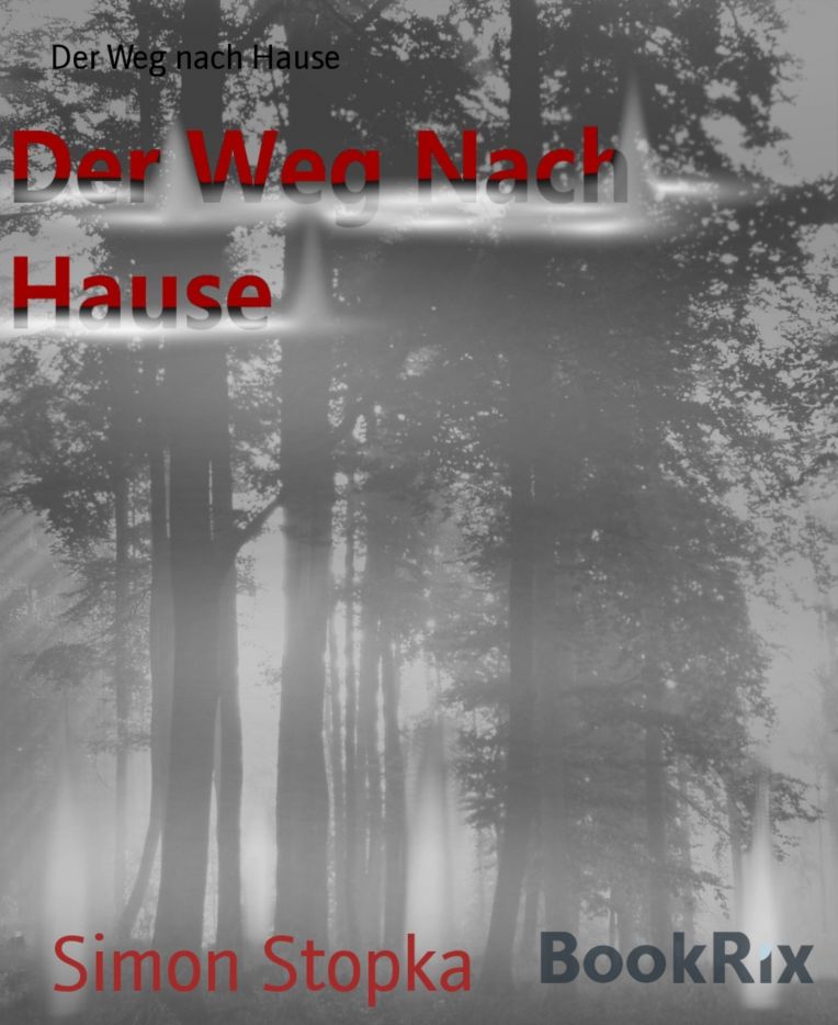 Der Weg nach Hause