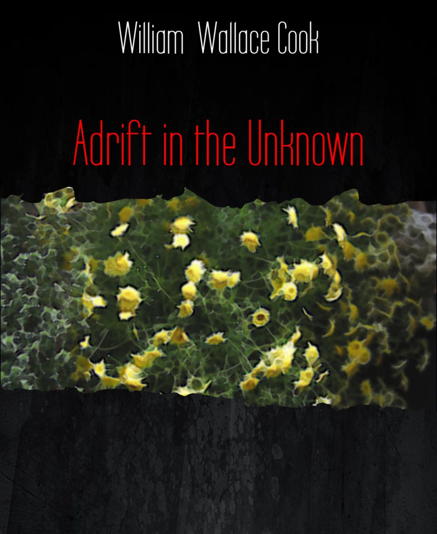 Adrift in the Unknown
