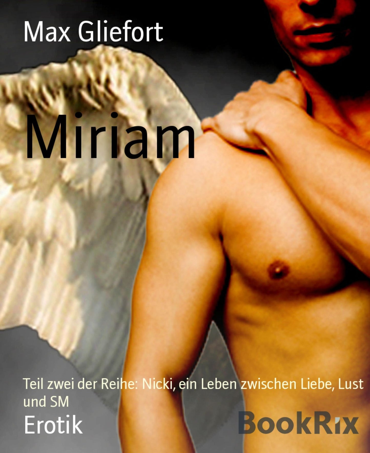 Miriam: Teil zwei der Reihe: Nicki, ein Leben zwischen Liebe, Lust und SM