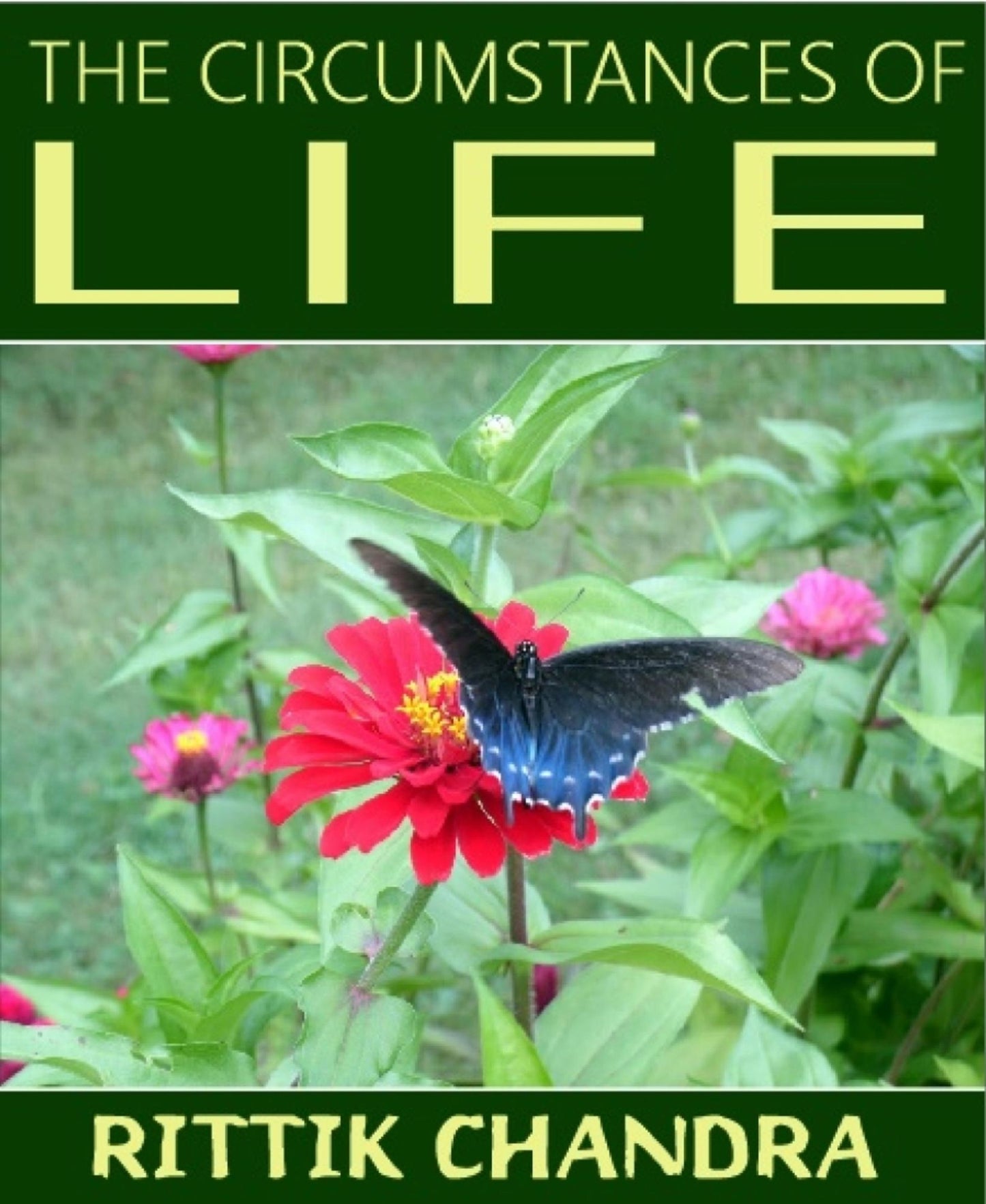 The Circumstances of Life