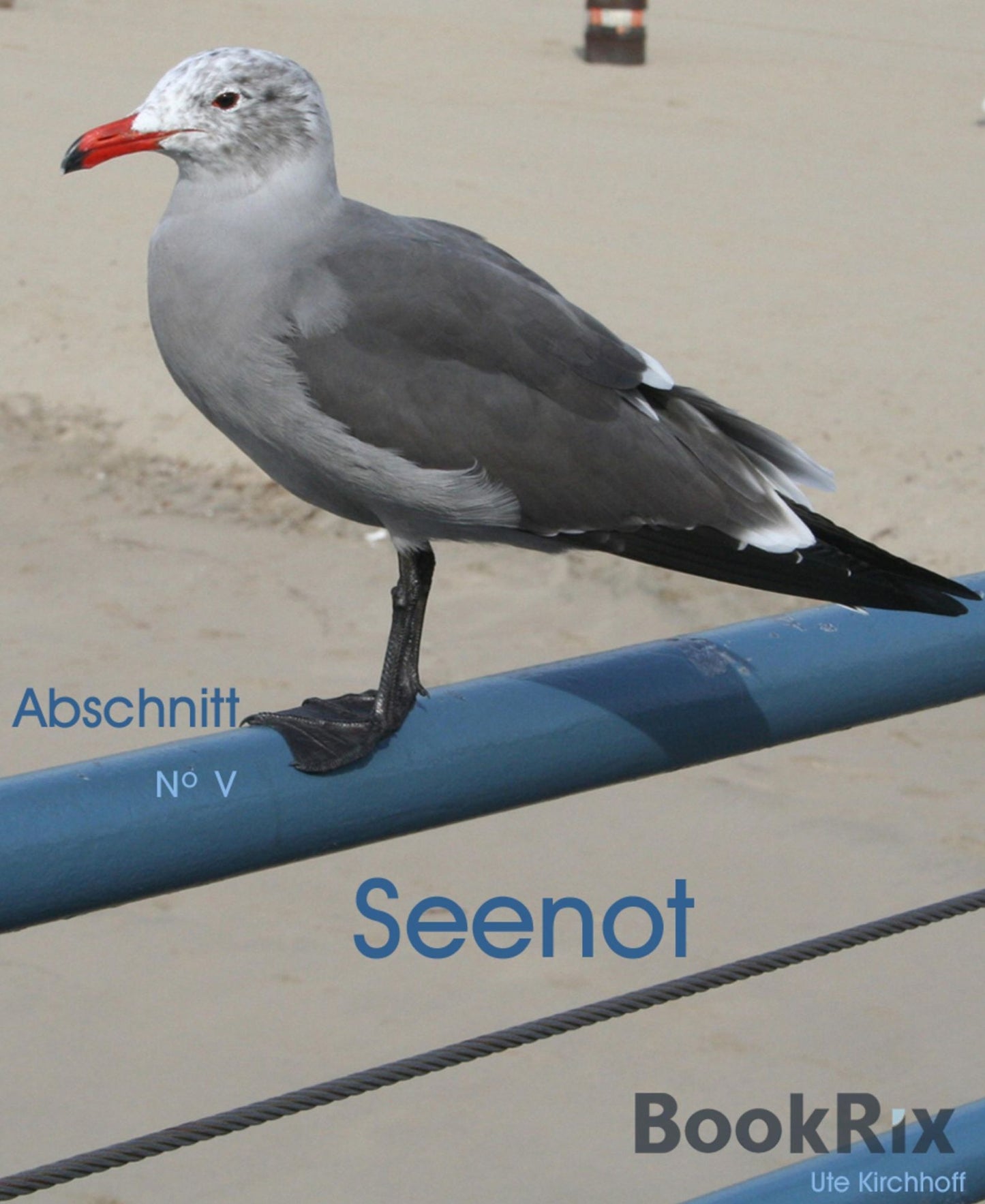 Seenot: Abschnitt No V