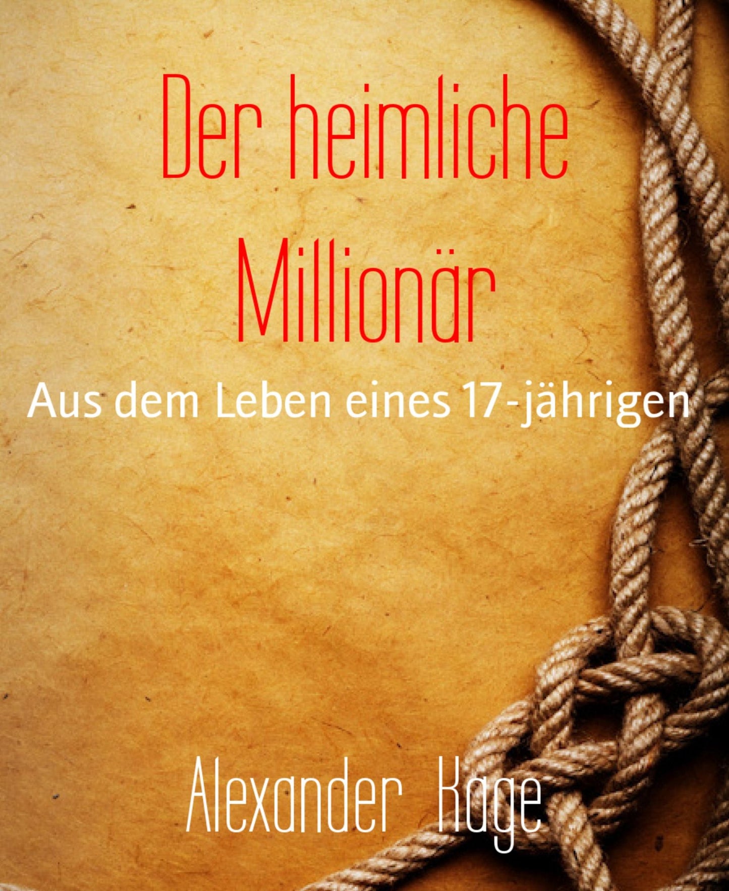 Der heimliche Millionär: Aus dem Leben eines 17-jährigen