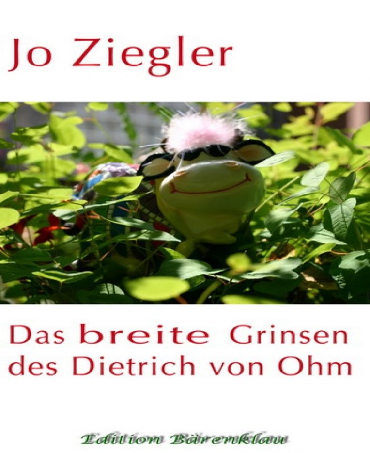 Das breite Grinsen des Dietrich von Ohm: Roman