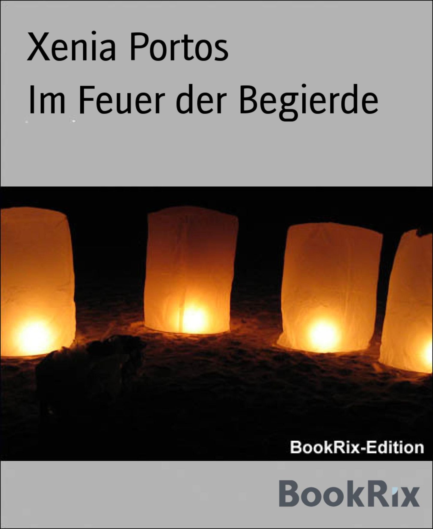 Im Feuer der Begierde: Die Begierden der Fürstin Federowa, Band 3
