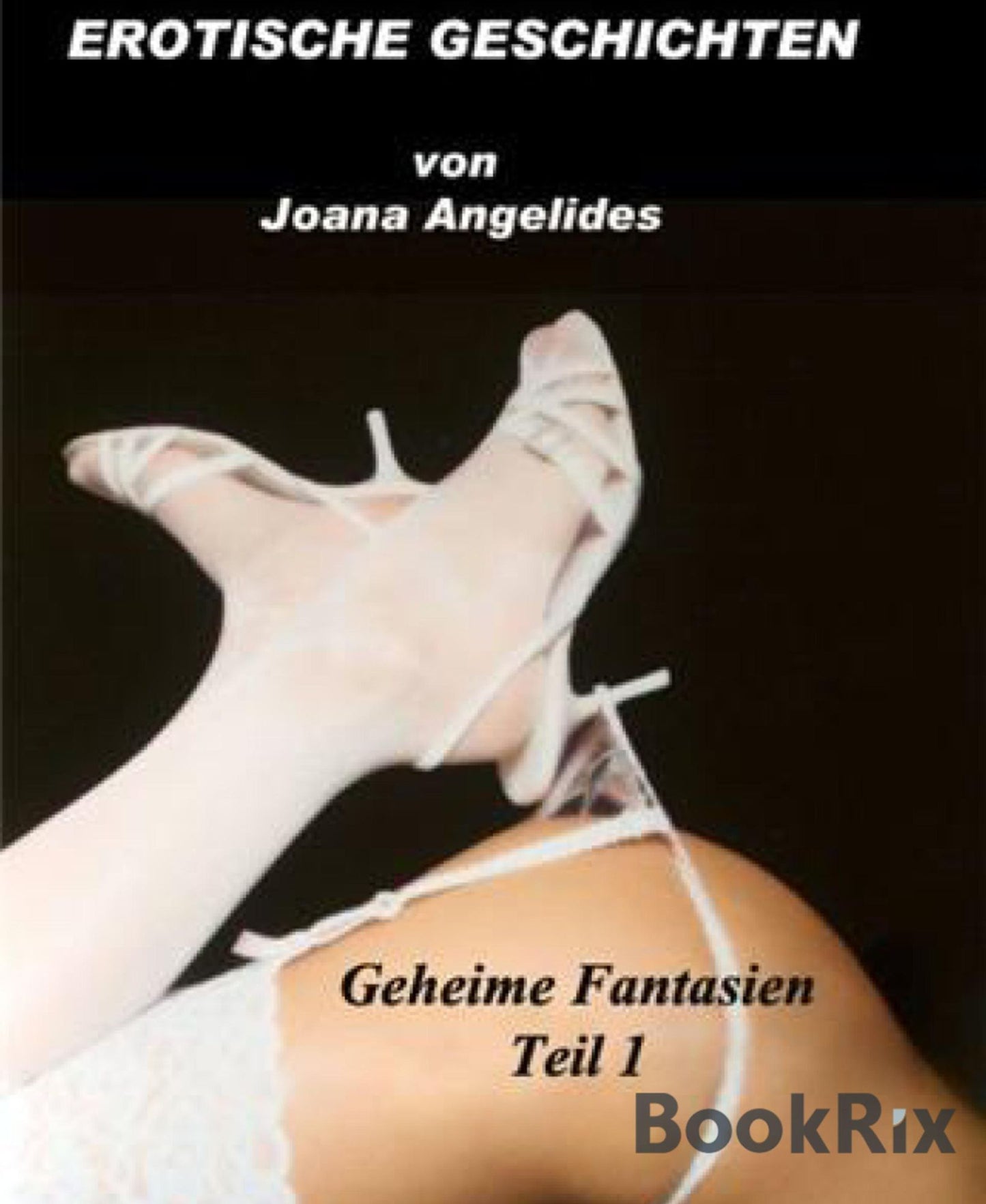 Geheime Fantasien: Erotische Geschichten, Teil 1