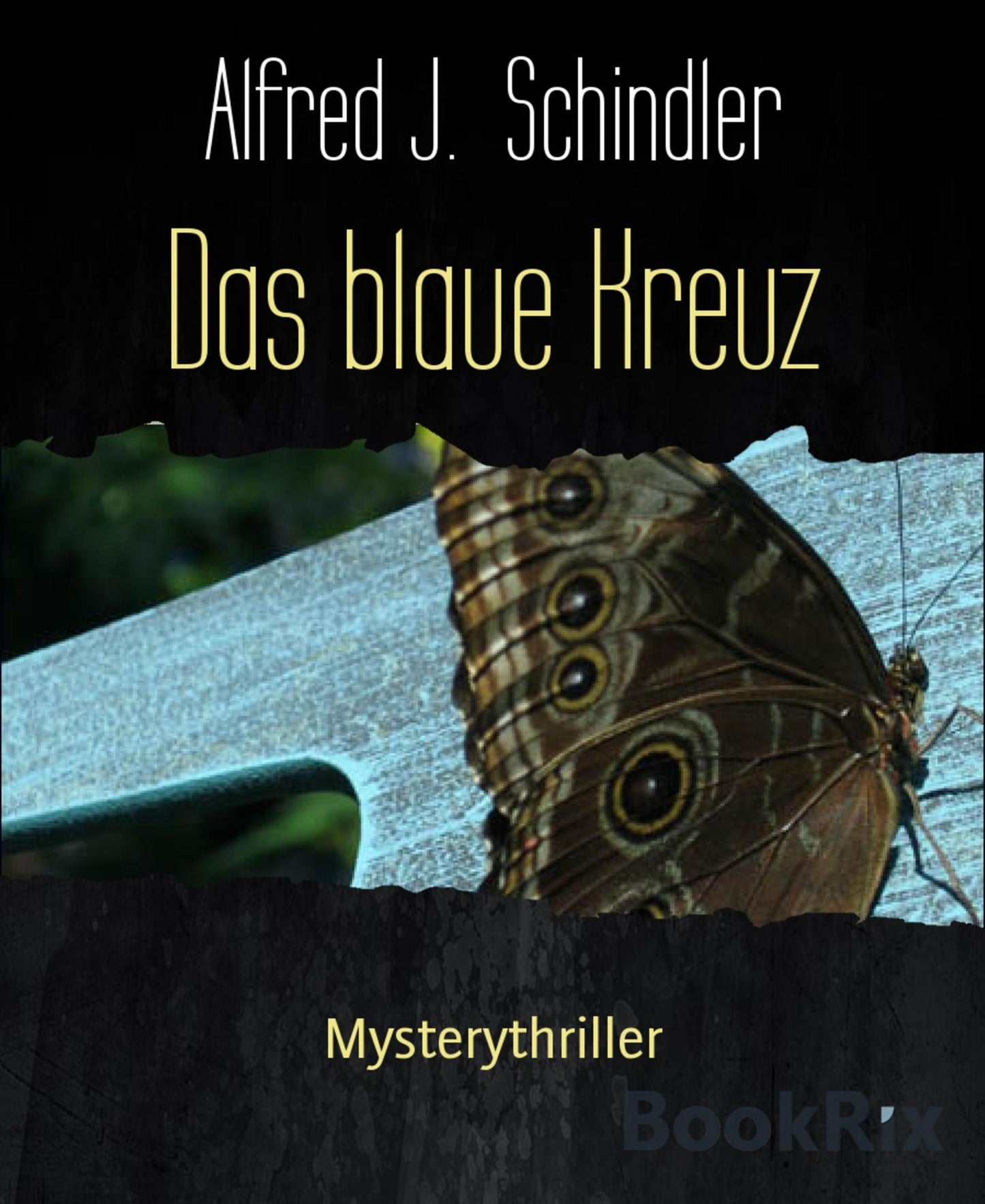 Das blaue Kreuz: Mysterythriller