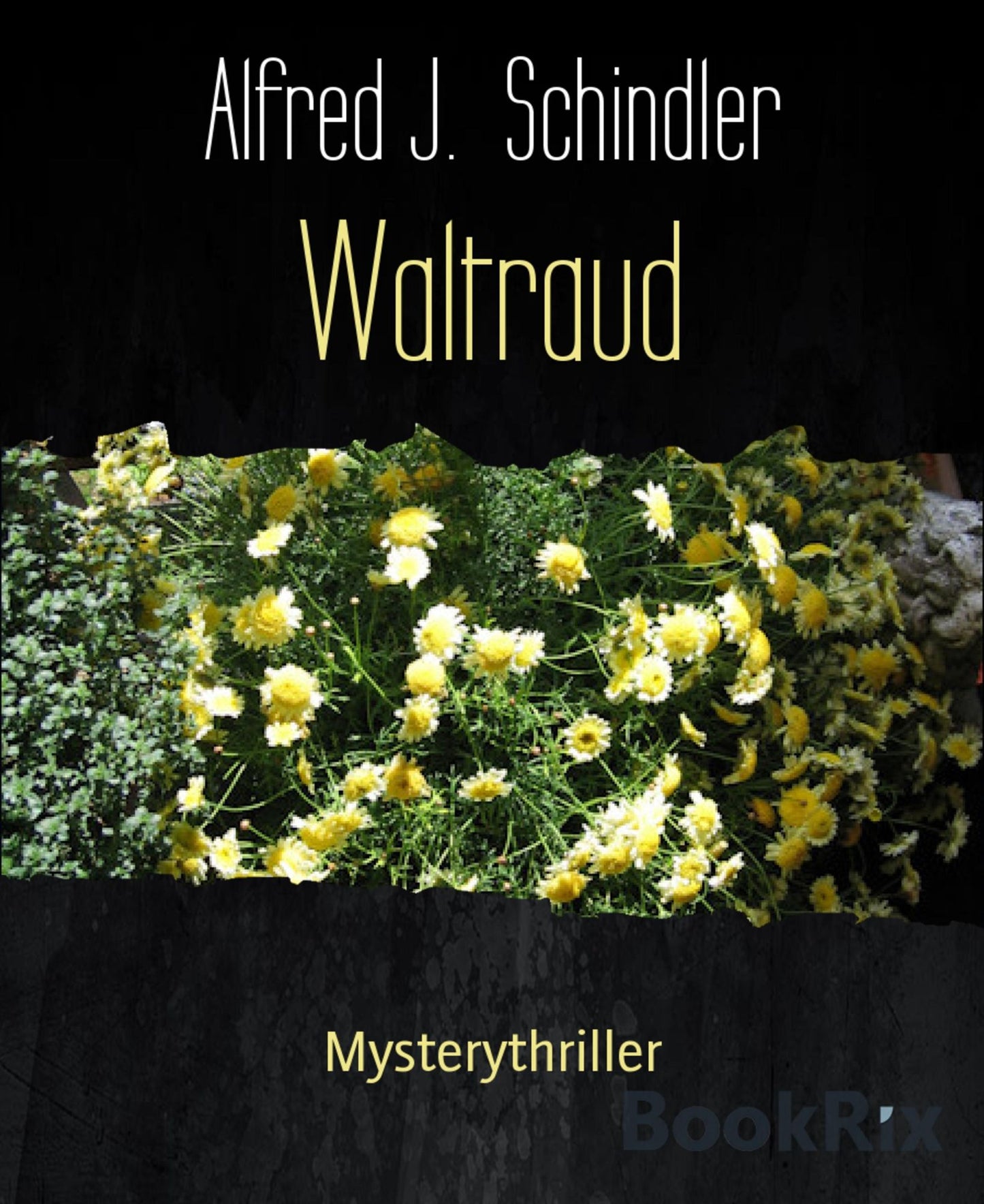 Waltraud: Mysterythriller