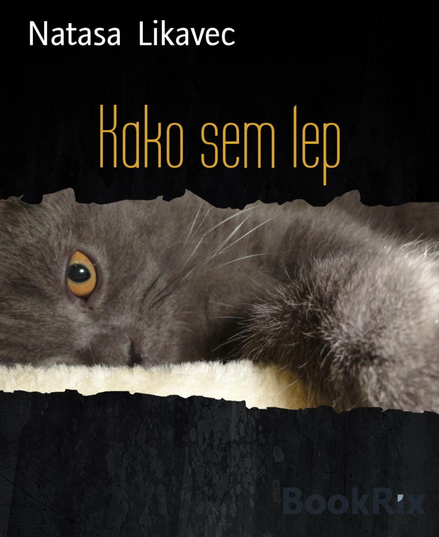 Kako sem lep