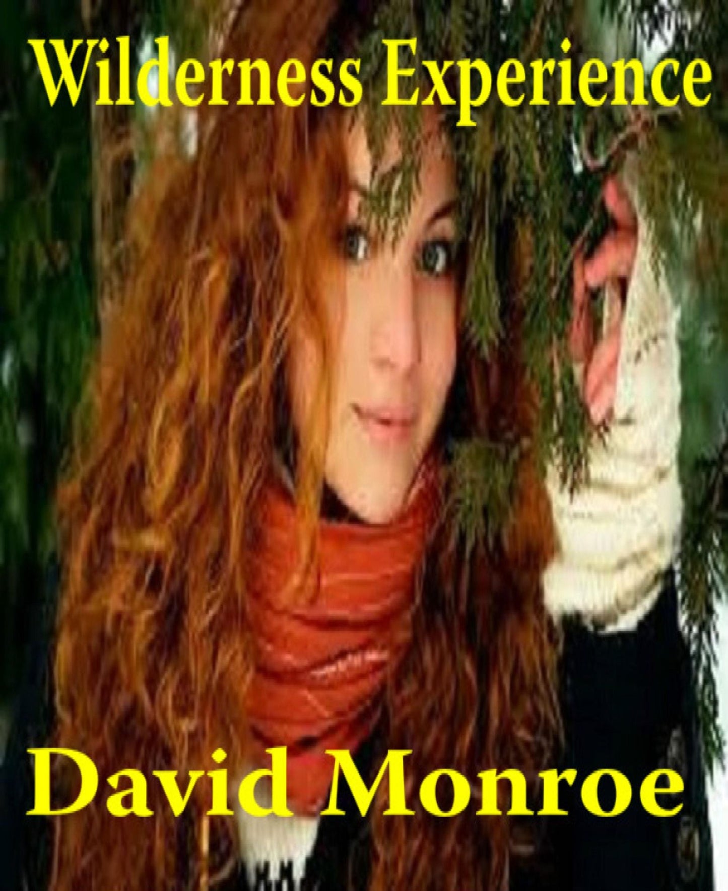 Wilderness Experience, A Short Story