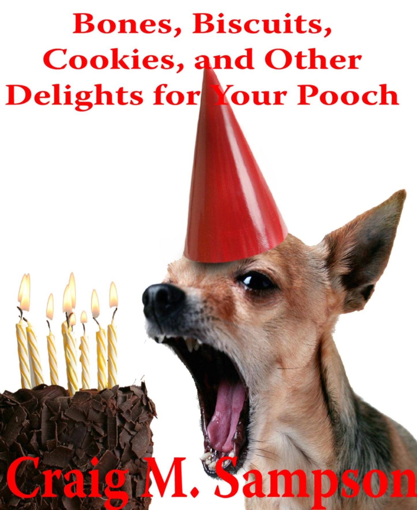 Bones, Biscuits, Cookies, and Other Treats for Your Pooch