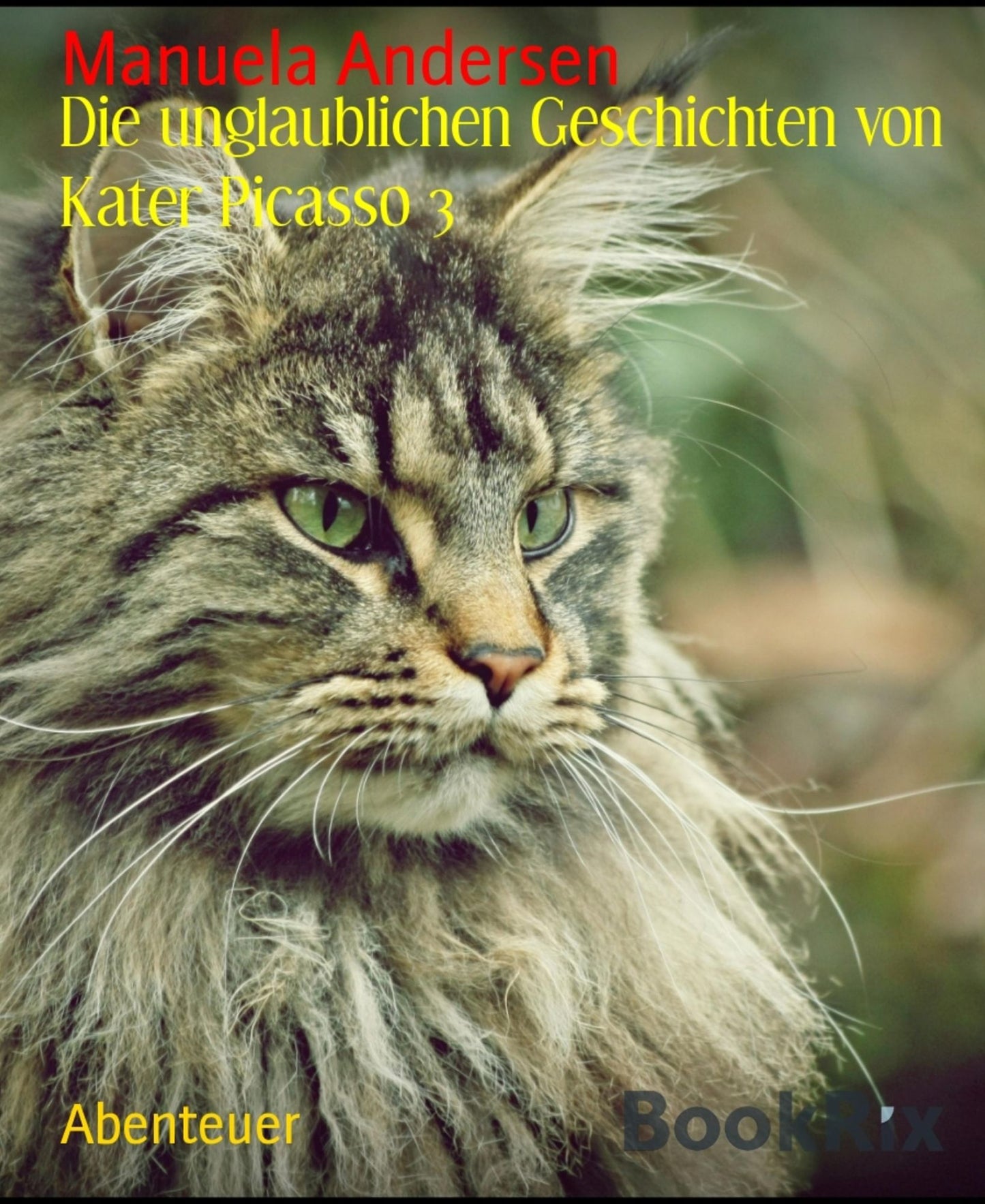 Die unglaublichen Geschichten von Kater Picasso 3