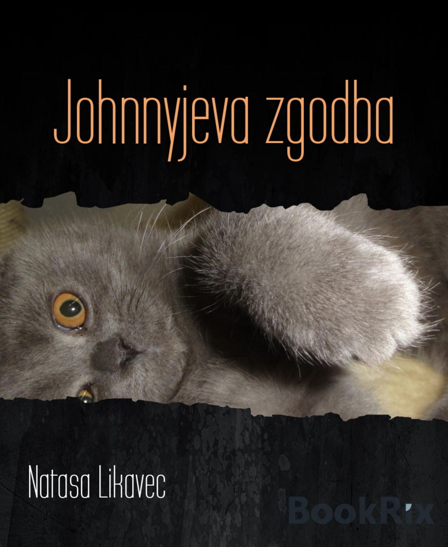 Johnnyjeva zgodba