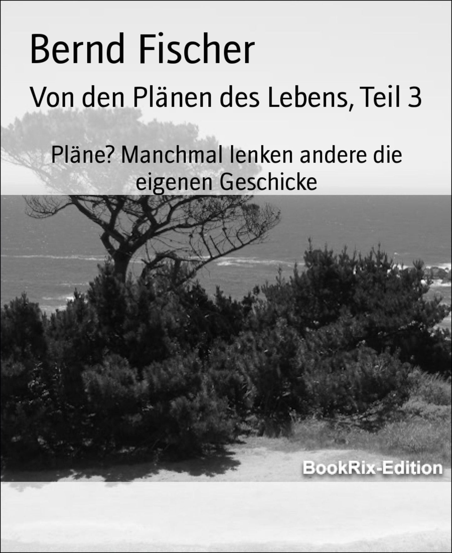 Von den Plänen des Lebens, Teil 3: Pläne? Manchmal lenken andere die eigenen Geschicke