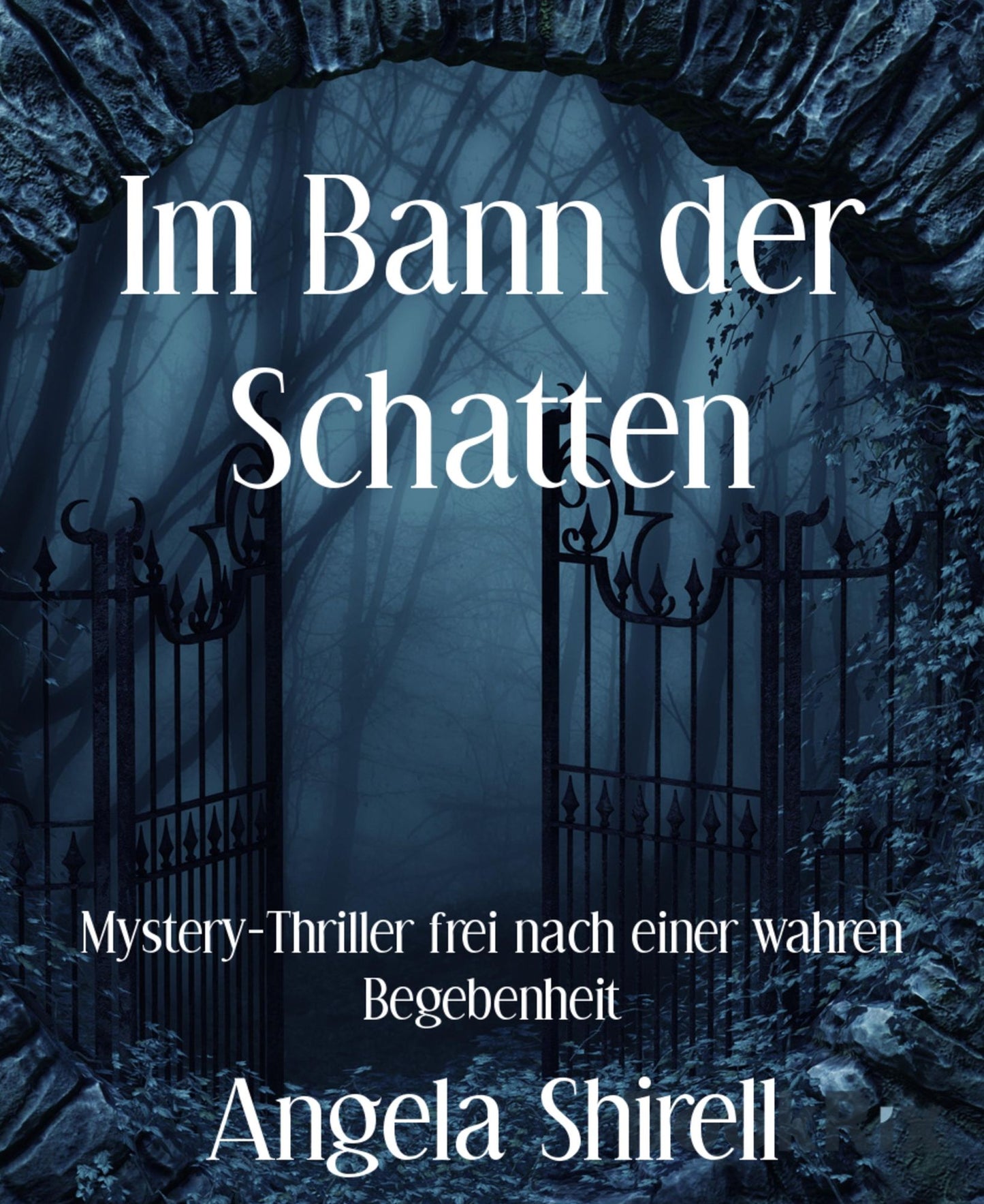 Im Bann der Schatten: Mystery-Thriller frei nach einer wahren Begebenheit