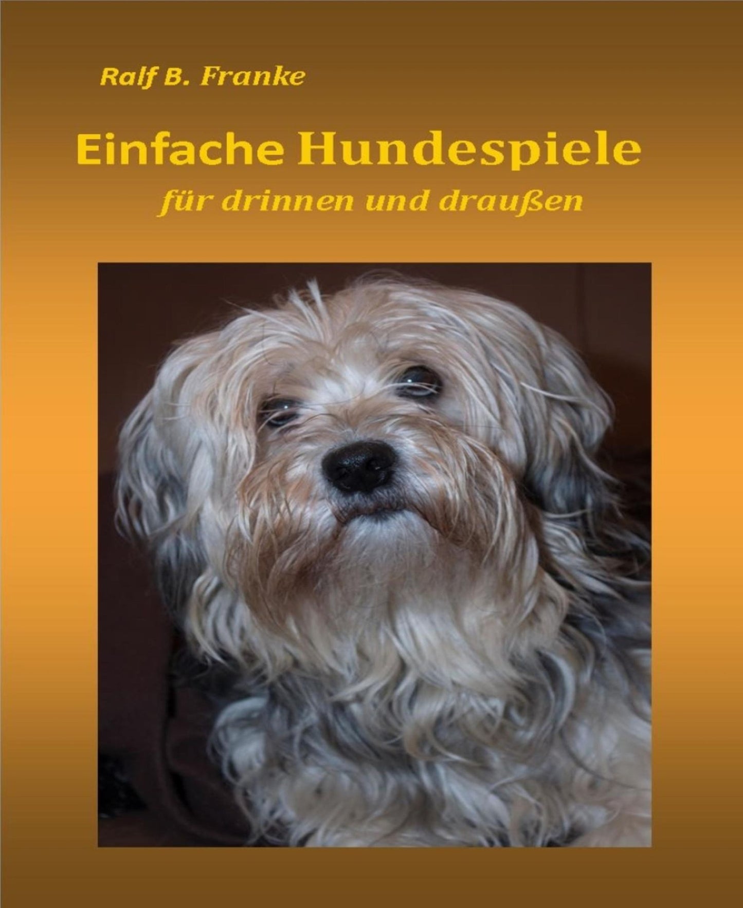 Einfache Hundespiele
