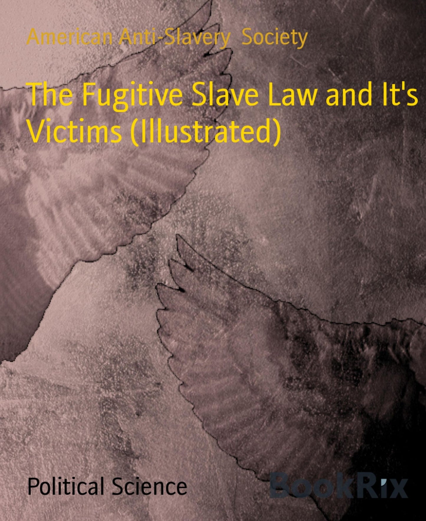 The Fugitive Slave Law and It's Victims (Illustrated)