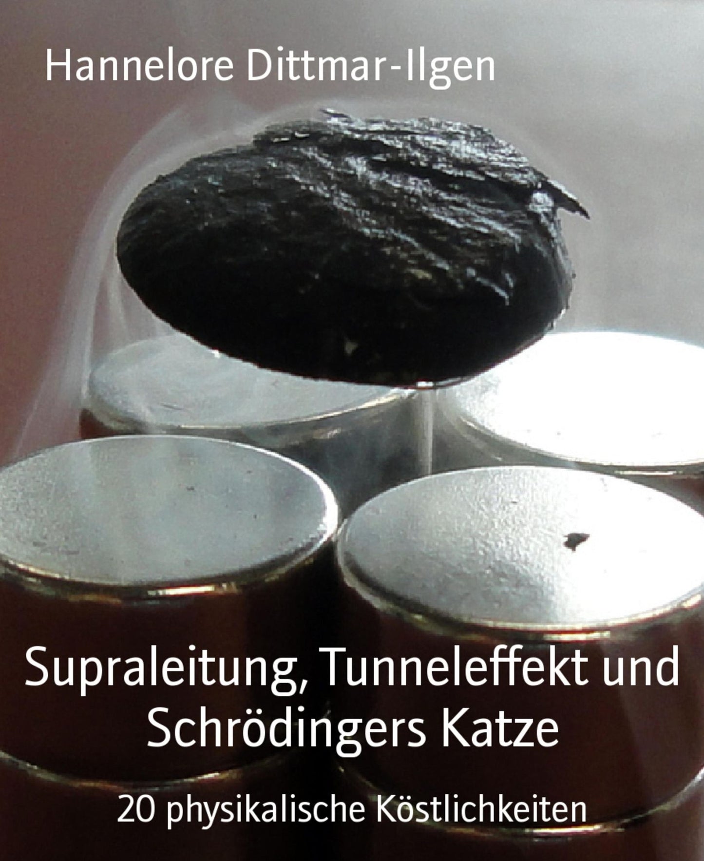 Supraleitung, Tunneleffekt und Schrödingers Katze: 20 physikalische Köstlichkeiten