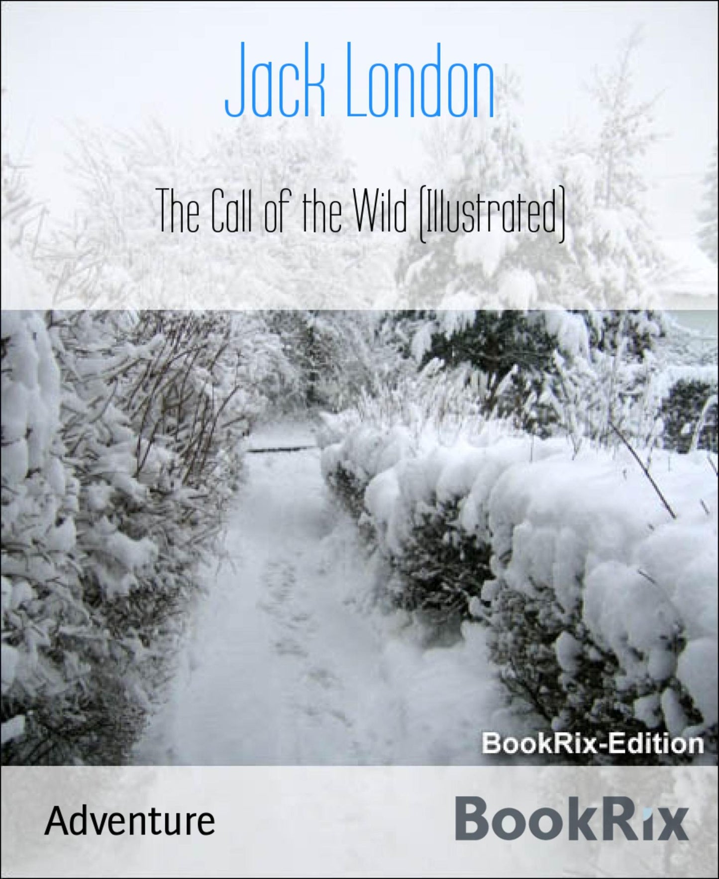 The Call of the Wild (Illustrated)