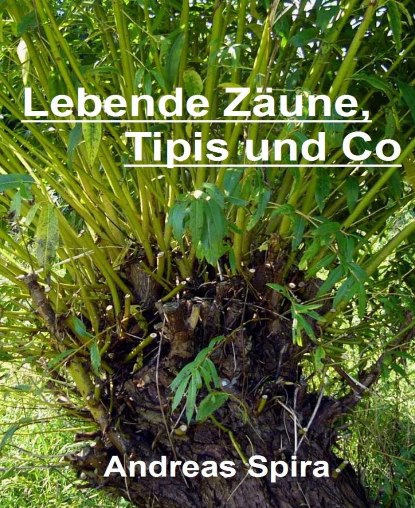 Lebende Zäune, Tipis und Co: Anregung und Anleitung