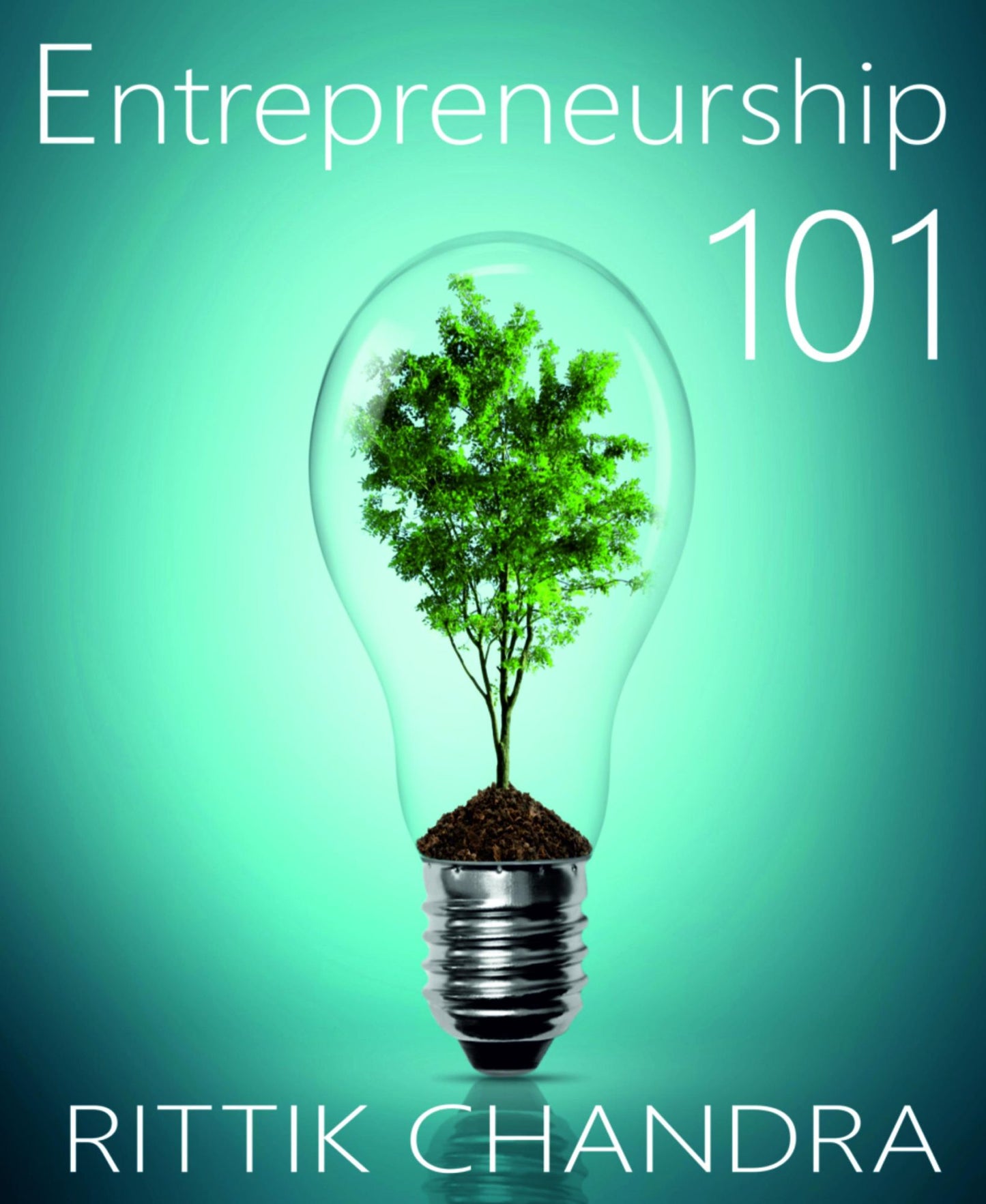 Entrepreneurship 101