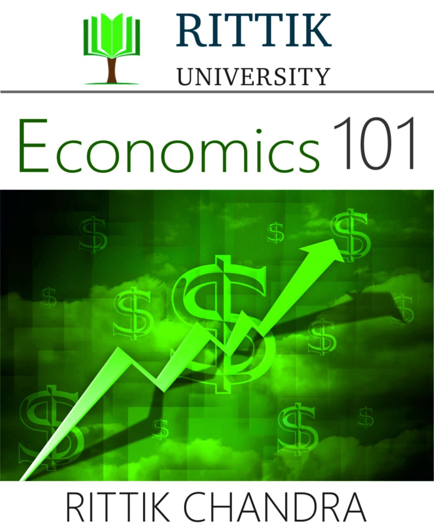 Rittik University Economics 101