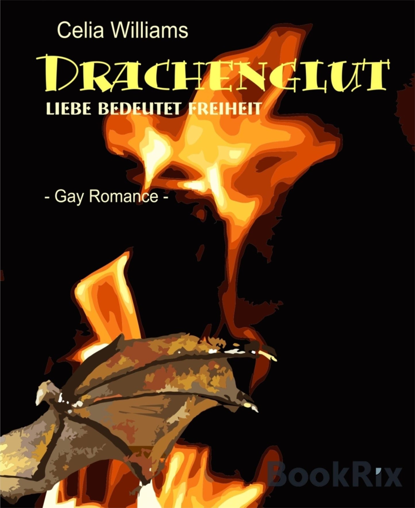 Drachenglut - Liebe bedeutet Freiheit: Gay Romance / Fantasy