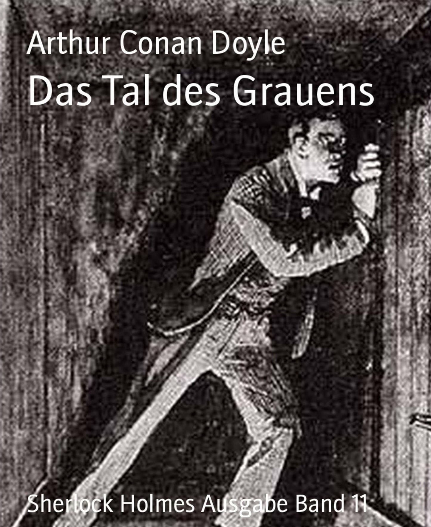 Das Tal des Grauens: Sherlock Holmes Ausgabe Band 11